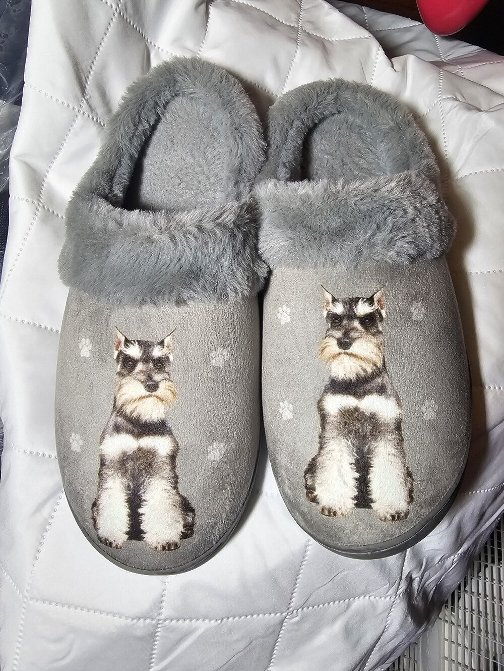 Snuggs Slippers